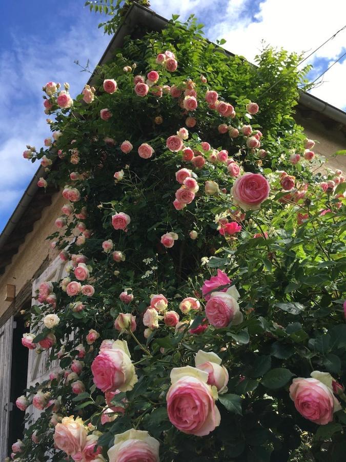 Bed and Breakfast Les Jardins des Soussilanges à Céron Extérieur photo