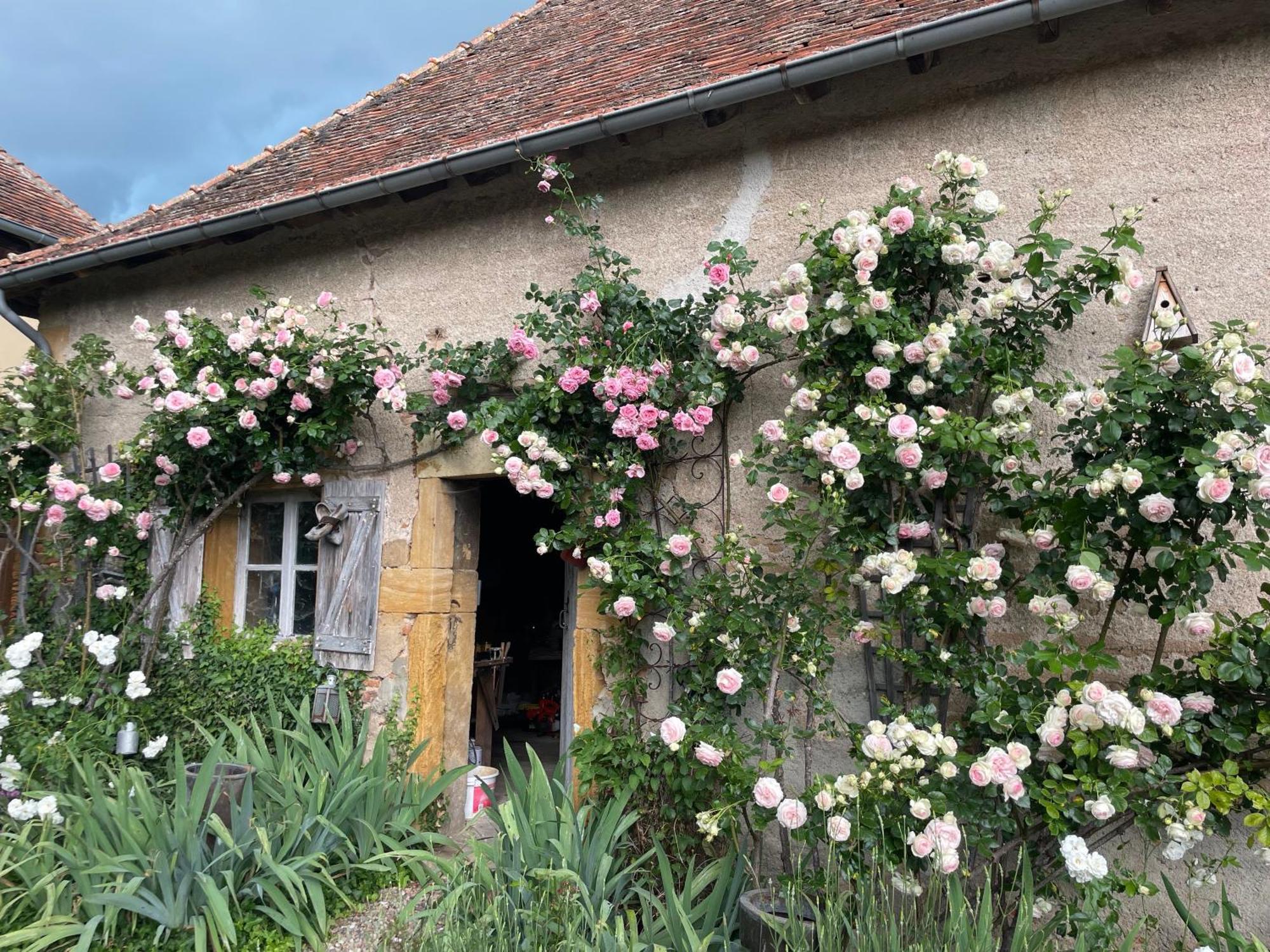 Bed and Breakfast Les Jardins des Soussilanges à Céron Extérieur photo